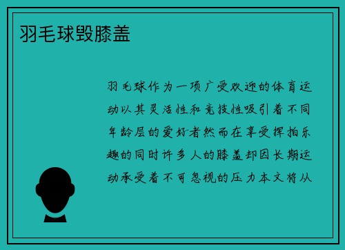 羽毛球毁膝盖