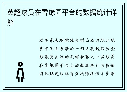 英超球员在雪缘园平台的数据统计详解